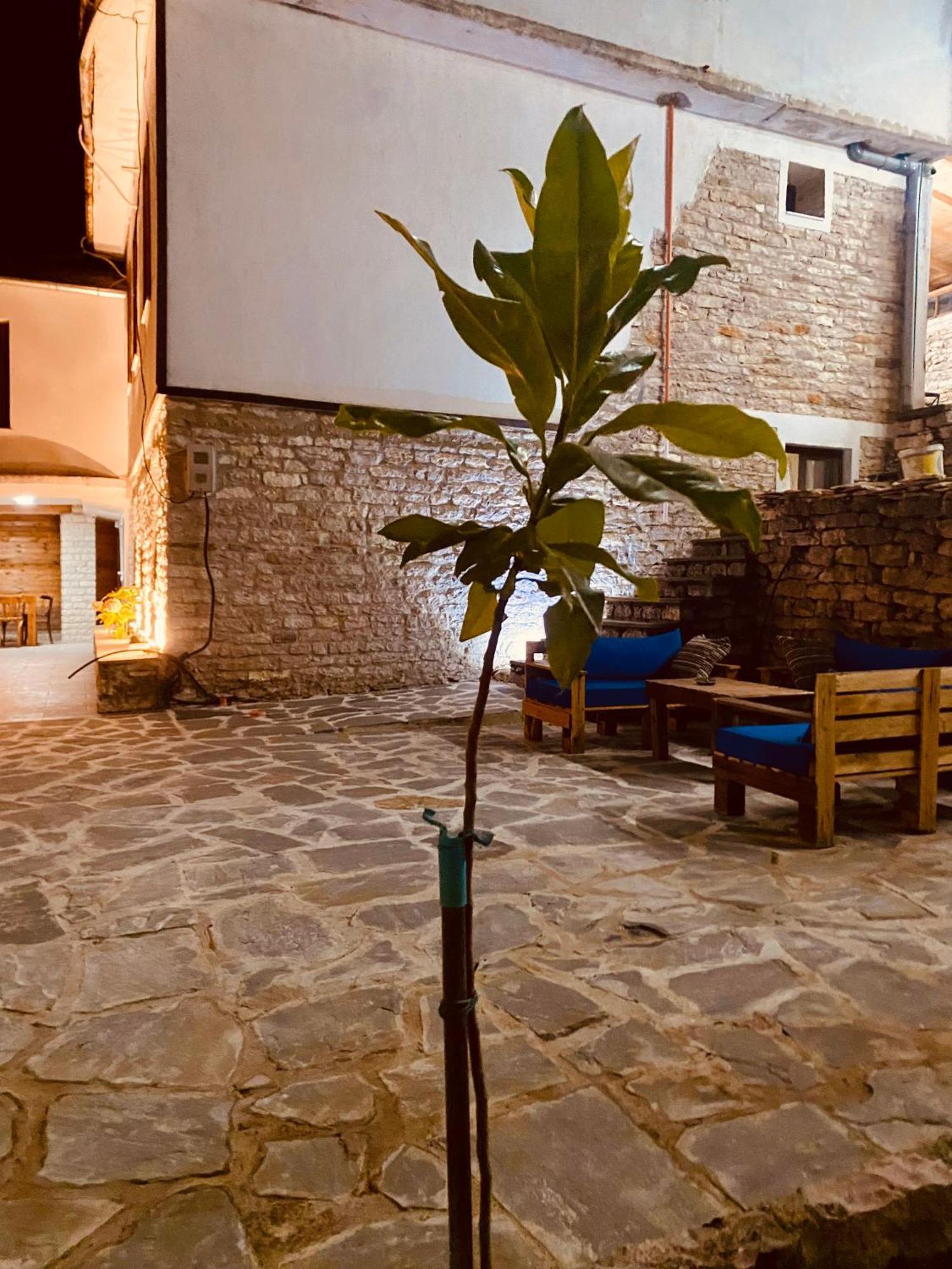 Vila Eri Gjirokastër 외부 사진